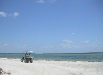 Upper captiva island beach